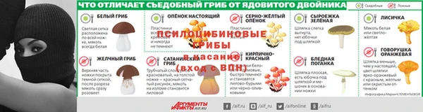 ПСИЛОЦИБИНОВЫЕ ГРИБЫ Беломорск